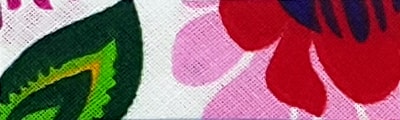 255